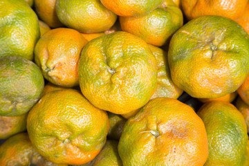 Sticker - Mandarin delicious fruit citrus reticulata