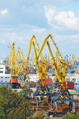 Port cargo crane and metal