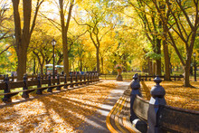 Central Park In New York City On Colorful Autumn Day