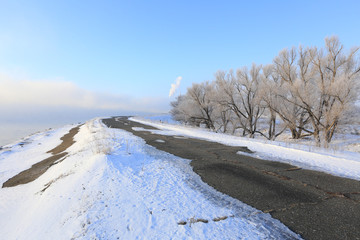 Wall Mural - road along the river winter