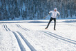 Cross-country skiing Skating