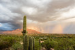 A Summer Monsoon Storm Sweeps Across Pusch Ridge in the Santa Catalina Mountains near Tucson, Arizona.