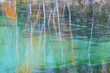 autumn forest reflection in water