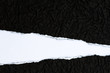 © skynet - Ripped crumpled black paper with space