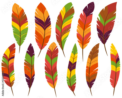 Thanksgiving or Fall Colored Turkey Feathers Stock Vector | Adobe Stock