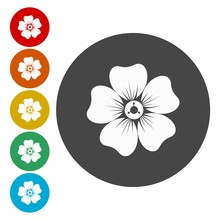 Flower Icon Set 