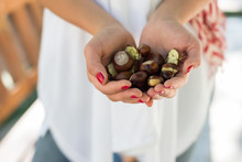 Woman Holding A Handful Of Chestnuts