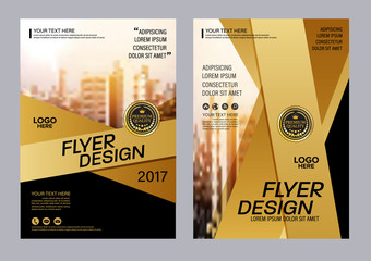 Wall Mural - Gold Brochure Layout design template. Annual Report business Leaflet cover Presentation Modern background. illustration vector in A4 size