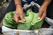 Street vendor in Kolkata, India, sorting leaves