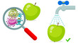 Magnifying Glass look through Germ, Bacteria, Virus, Microbe, Pathogen Characters on dirty green apple. Cartoon, fun for children characters. Washed apple with water. Vector illustration