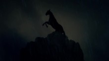An Epic Stallion Horse Standing On A Cliff Under A Lightning Storm In Slow Motion