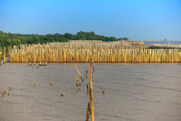 Row of bamboo stick and seagull bird in the sea with blue sky ba