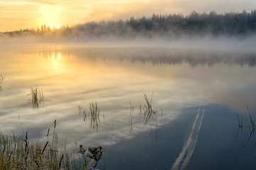 Wall Mural - lake sunrise fog sun mist