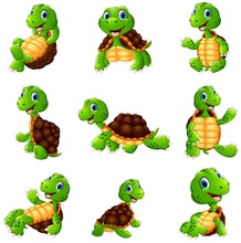 Happy Turtle Cartoon Collection Set