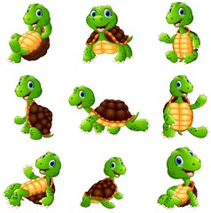 Happy turtle cartoon collection set