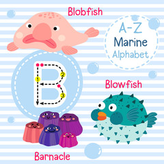 Wall Mural - B letter tracing. Blowfish. Blobfish. Barnacle. Cute children sea marine alphabet flash card. Funny cartoon animal. Kids abc education. Learning English vocabulary. Vector illustration.