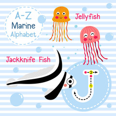 Wall Mural - J letter tracing. Jellyfish. Jackknife Fish. Cute children sea marine alphabet flash card. Funny cartoon animal. Kids abc education. Learning English vocabulary. Vector illustration.