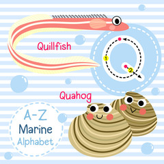 Wall Mural - Q letter tracing. Quahog. Quillfish. Cute children sea marine alphabet flash card. Funny cartoon animal. Kids abc education. Learning English vocabulary. Vector illustration.