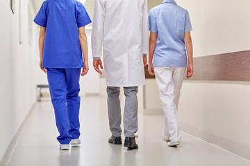 Canvas Print - group of medics or doctors walking along hospital