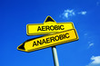 Aerobic or Anaerobic - Traffic sign with two options - physical exercise and workout for building muscle mass vs burning fat and having lean and toned body