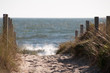 © medwedja - Ostseeküste. Rügen. Baltische Einsamkeit