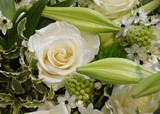 Fototapeta Tulipany - Weiße Lilien mit Rosen und Jasmin - Trauerfloristik