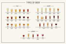 Types Of Beer. Various Types Of Beer In Recommended Glasses. Vector Illustration