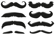 Different Types Of Mustache