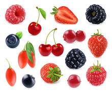 Forest Berry. Sweet Fruit. 3d Vector Icons Set. Realistic Illustration