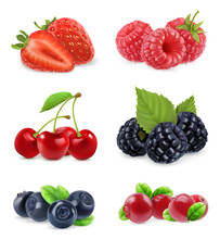 Forest Berry. Sweet Fruit. Realistic Illustration. 3d Vector Icon Set