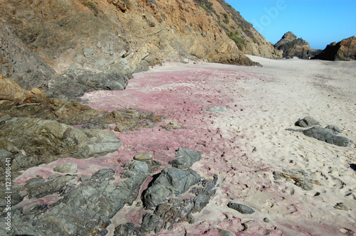 Shore With Pink Sands At Big Surs Pfeiffer Beach