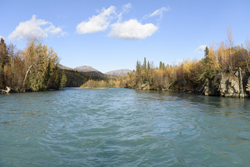 Autumn Colors and Sport Fishing on the Kenai River