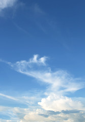 Wall Mural - blue sky