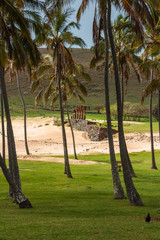 Wall Mural - The Moai's at Anakena beach on Easter Island