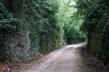 Wall Mural - Road between the rocks