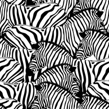 Zebra Seamless Pattern.Savannah Animal Ornament. Wild Animal Texture. Striped Black And White. Design Trendy Fabric Texture, Illustration.