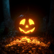 Glühender Halloween-Kürbis im Wald bei Nacht