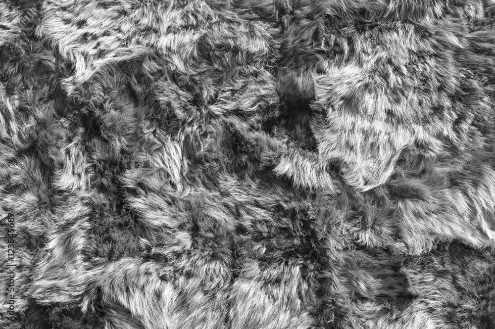 Fur texture in grayscale Stock Photo | Adobe Stock