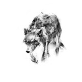 sketch drawing of a wolf on  white background