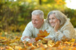 © aletia2011 - Senior couple in autumn park