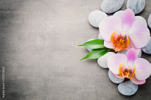 Fototapeta do kuchni Spa orchid theme objects on grey background.