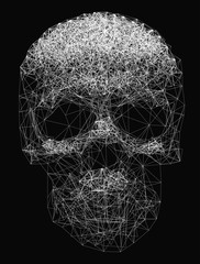 Vector line art. Skull illustration. Polygonal network of thin lines on Black background.