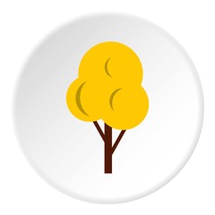 Wall Mural - autumn tree icon. flat illustration of autumn tree vector icon for web