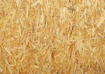 Wall Mural - plywood texture