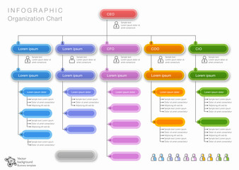 organization chart #vector graphic