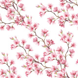 Fototapeta Storczyk - Seamless pattern with cherry blossoms. Watercolor illustration.
