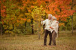 © aletia2011 - Beautiful  elderly couple walking in the autumn park