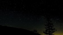 Time Lapse Of Carvers Gap Pine Tree As Stars Rise In The Sky.