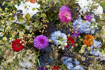 Bunch flowers flora  background