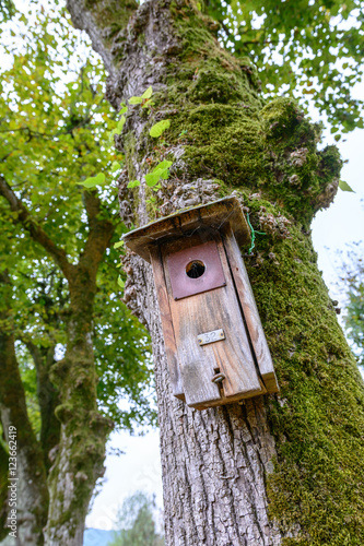 Die Farbige Und Schone Natur Im Herbst Und Winter Buy This Stock